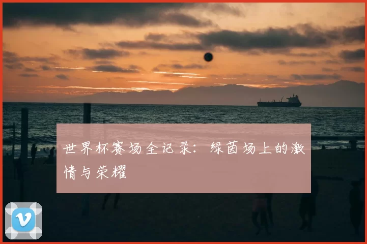 世界杯赛场全记录：绿茵场上的激情与荣耀