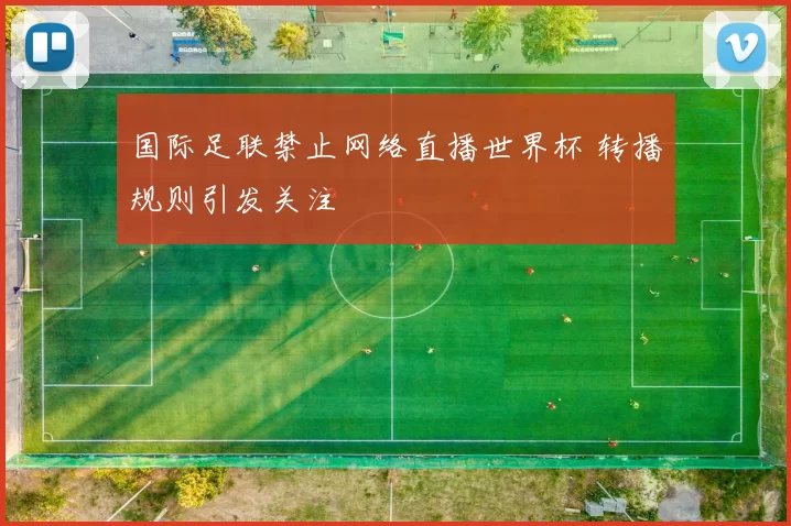 国际足联禁止网络直播世界杯 转播规则引发关注