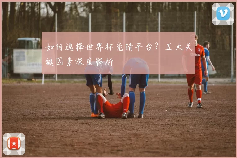 如何选择世界杯竞猜平台？五大关键因素深度解析