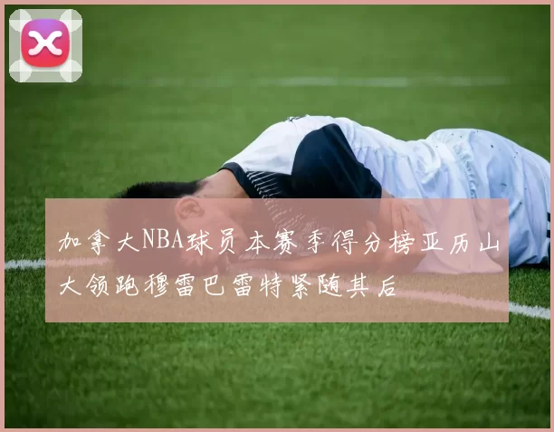 加拿大NBA球员本赛季得分榜亚历山大领跑穆雷巴雷特紧随其后