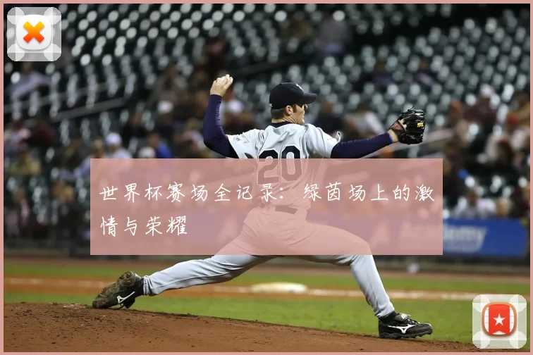 世界杯赛场全记录：绿茵场上的激情与荣耀