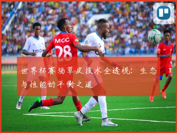 世界杯赛场草皮技术全透视：生态与性能的平衡之道