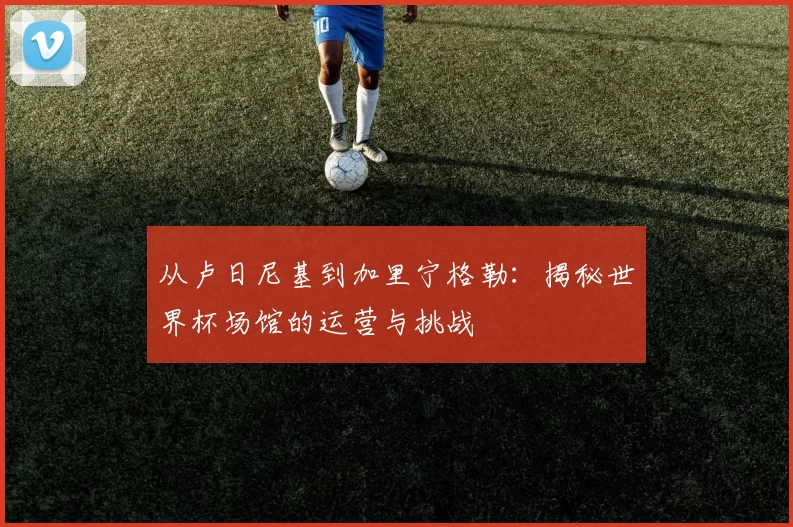 从卢日尼基到加里宁格勒：揭秘世界杯场馆的运营与挑战