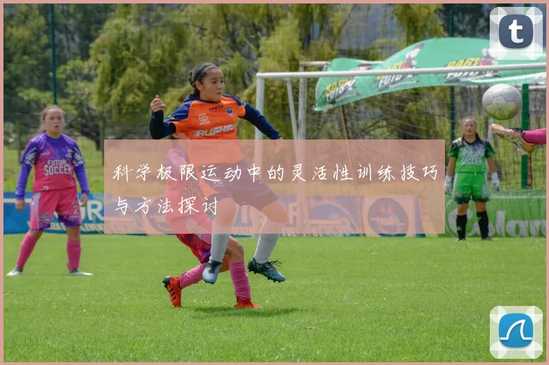 科学极限运动中的灵活性训练技巧与方法探讨