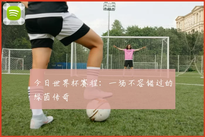 今日世界杯赛程：一场不容错过的绿茵传奇