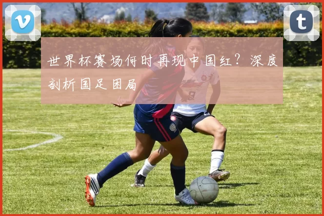 世界杯赛场何时再现中国红？深度剖析国足困局