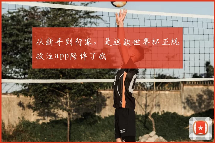 从新手到行家，是这款世界杯正规投注app陪伴了我