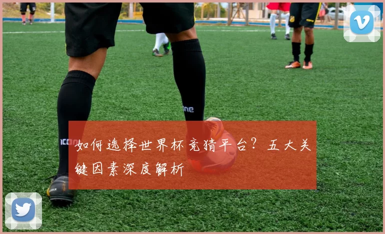 如何选择世界杯竞猜平台？五大关键因素深度解析