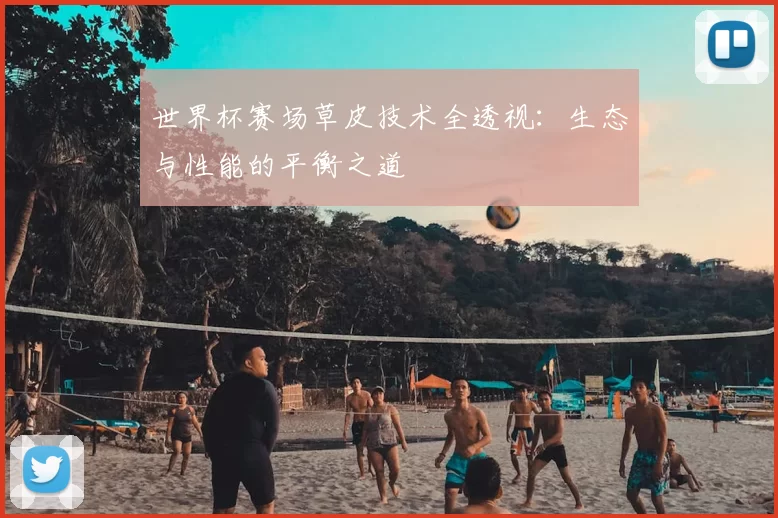 世界杯赛场草皮技术全透视：生态与性能的平衡之道