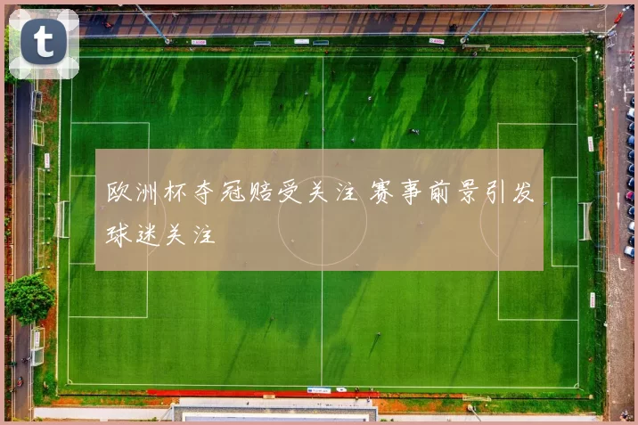 欧洲杯夺冠赔受关注 赛事前景引发球迷关注
