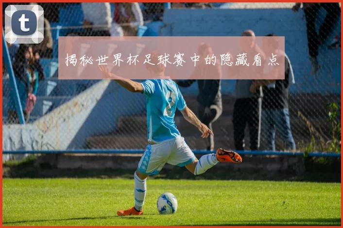 揭秘世界杯足球赛中的隐藏看点