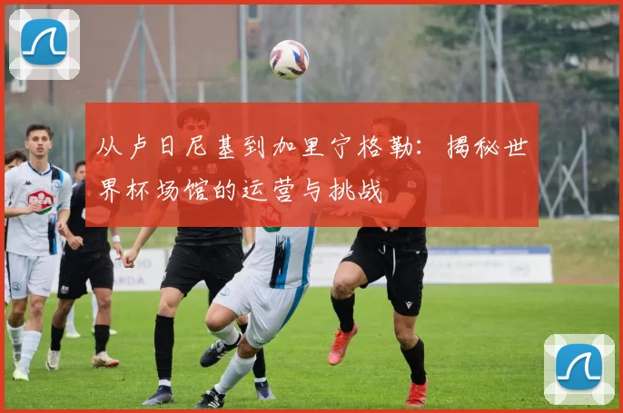 从卢日尼基到加里宁格勒：揭秘世界杯场馆的运营与挑战