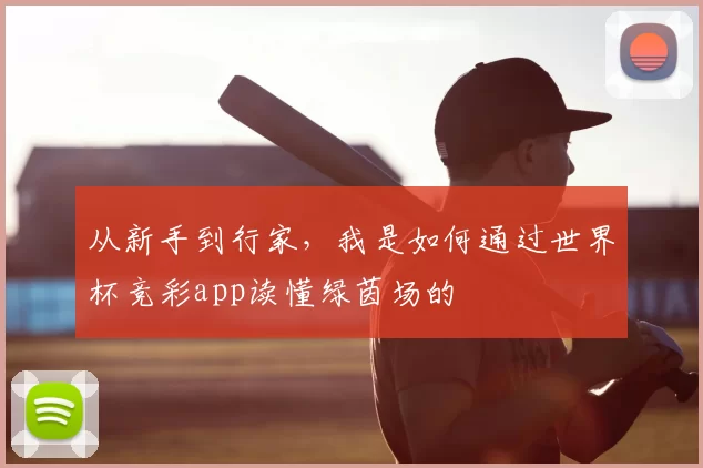 从新手到行家，我是如何通过世界杯竞彩app读懂绿茵场的