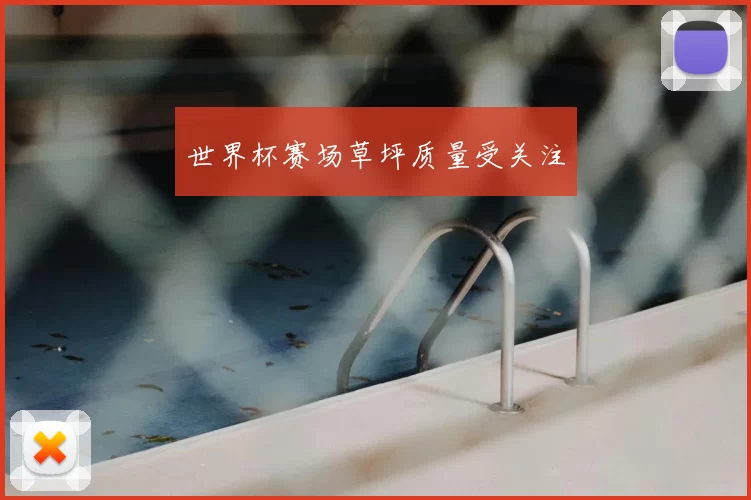 世界杯赛场草坪质量受关注