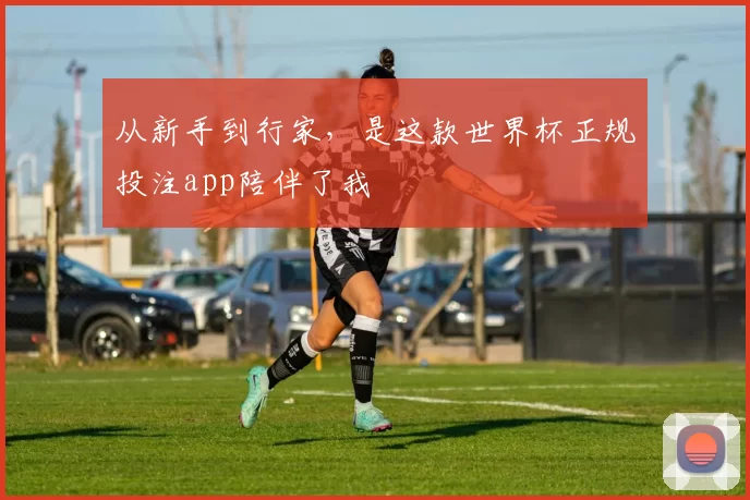 从新手到行家，是这款世界杯正规投注app陪伴了我