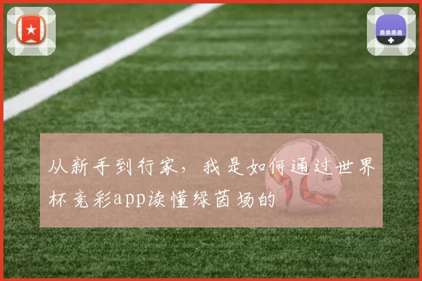 从新手到行家，我是如何通过世界杯竞彩app读懂绿茵场的