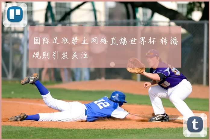 国际足联禁止网络直播世界杯 转播规则引发关注